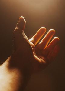 hand-g54ac6a226_1920.jpg