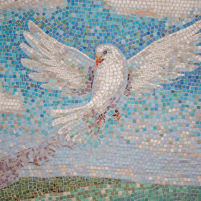 wal_172619-bird-6812884.jpg