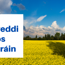 Tulip Garden YouTube Thumbnail.png