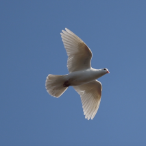 Screenshot 2025-09-18 at 15.49.49.png