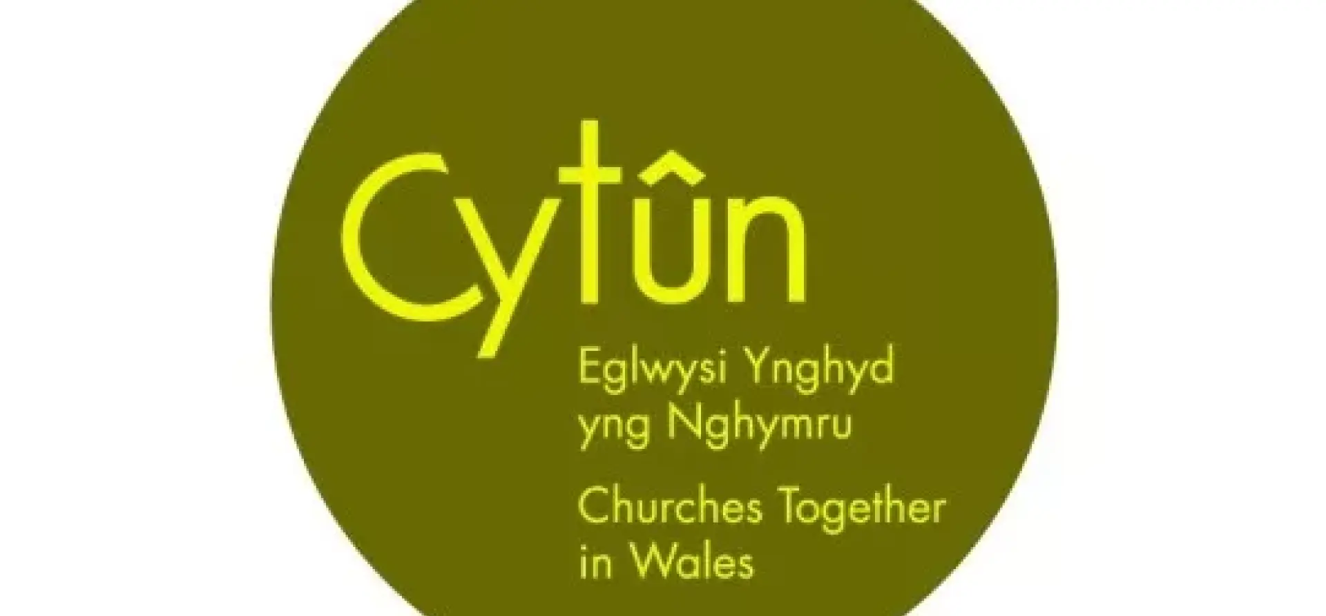 Cytun-1.jpg.webp