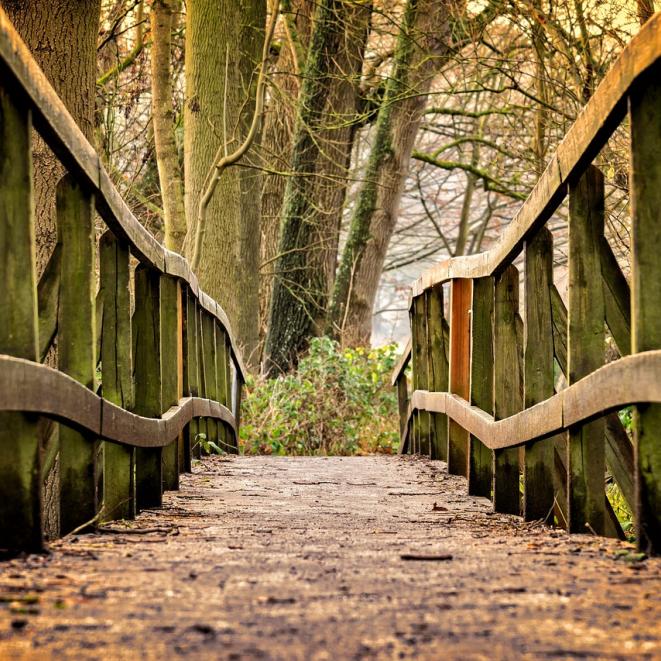 bridge-3024773_1280.jpg