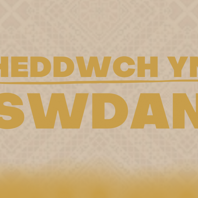 Swdan.png