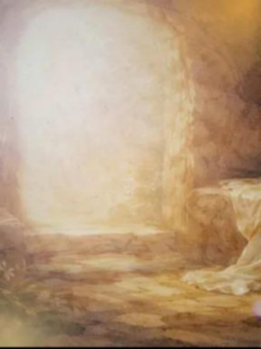 5 Y PASG (Instagram Post (34)).jpg