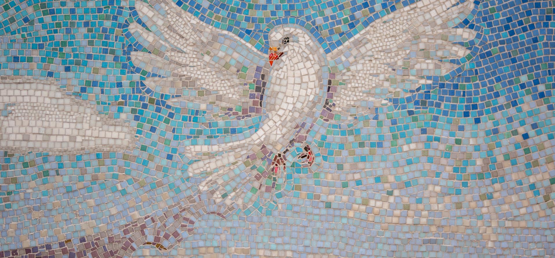 wal_172619-bird-6812884.jpg