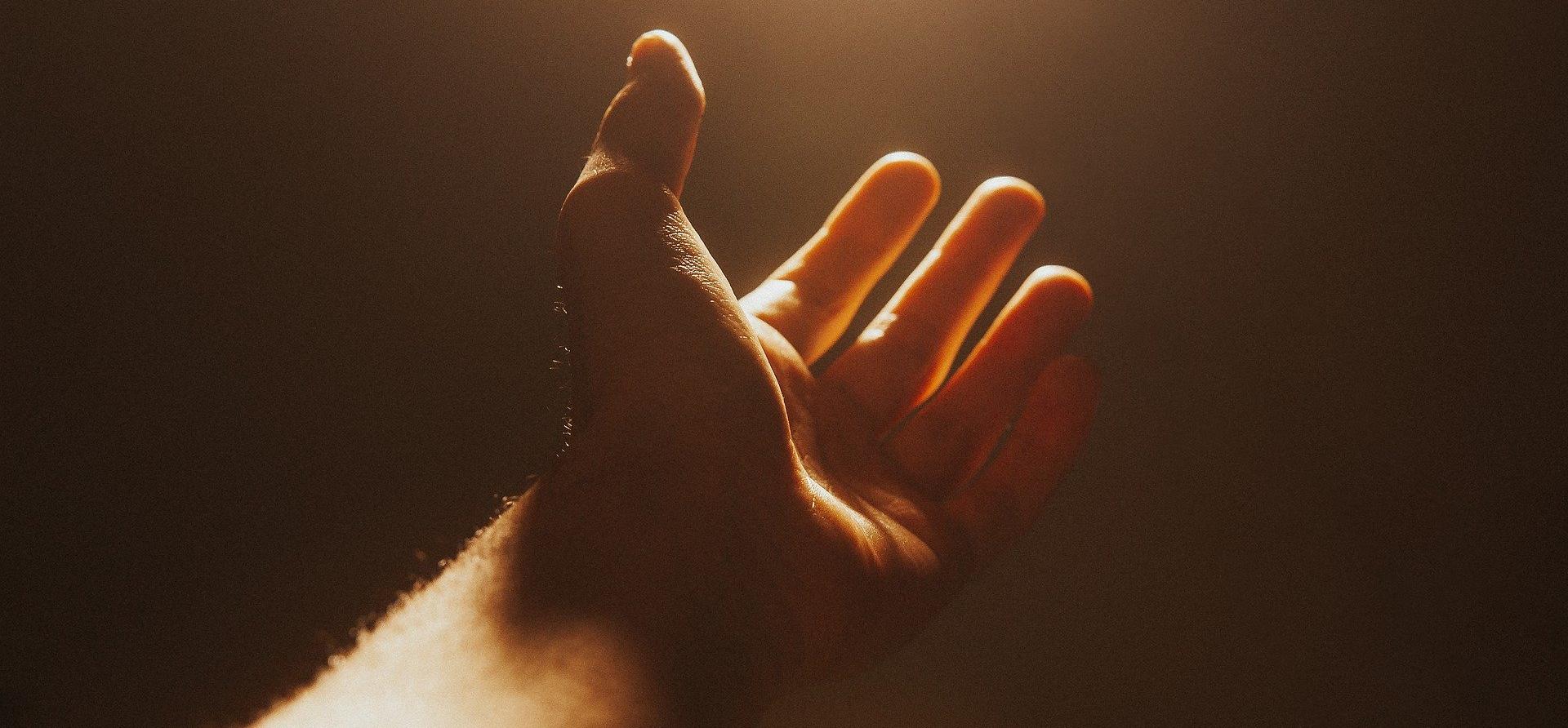 hand-g54ac6a226_1920.jpg