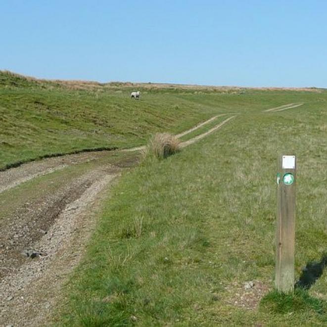 On_the_Epynt_Way_-_geograph.org.uk_-_837654.jpg