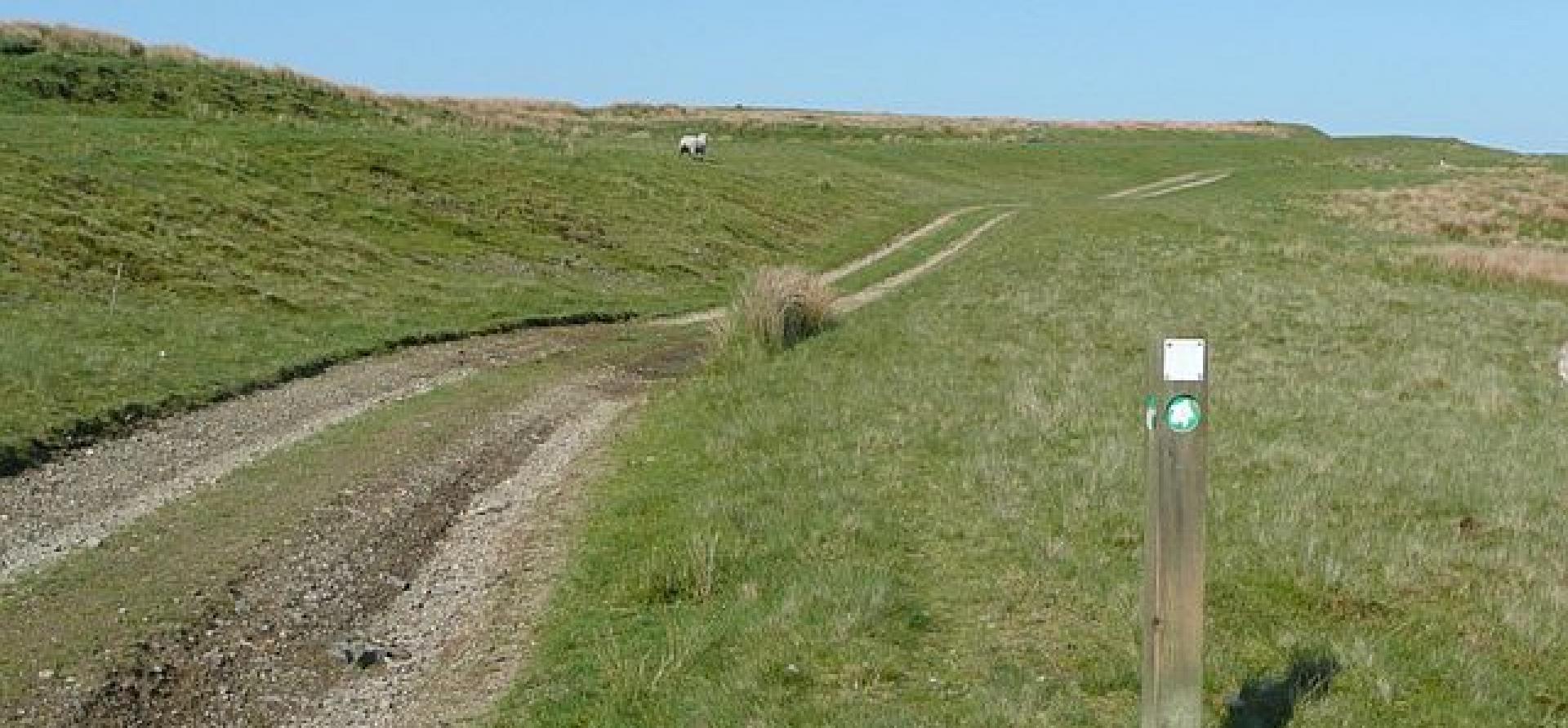 On_the_Epynt_Way_-_geograph.org.uk_-_837654.jpg